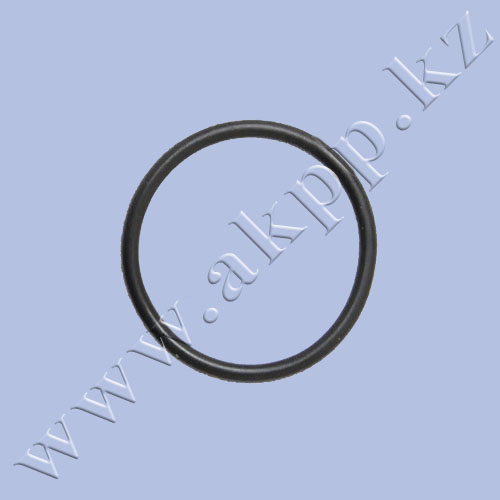 Кольцо уплотнительное, плунжера ступицы насоса 0734-313-161