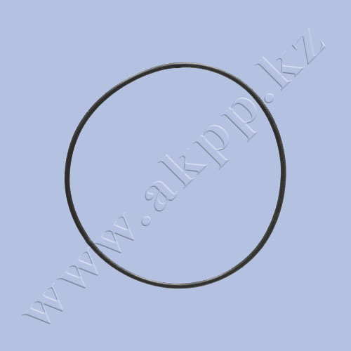 Кольцо уплотнительное, входного вала 0734-313-151